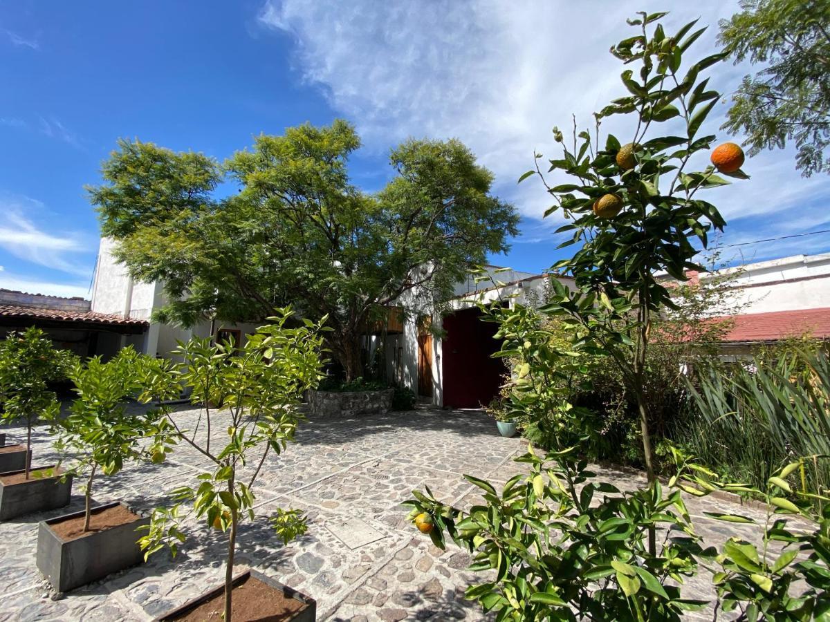 Posada Colibri - Hotel & Spa San Juan Teotihuacán Екстериор снимка