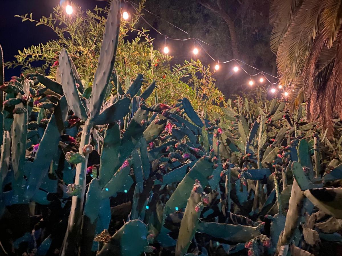 Posada Colibri - Hotel & Spa San Juan Teotihuacán Екстериор снимка
